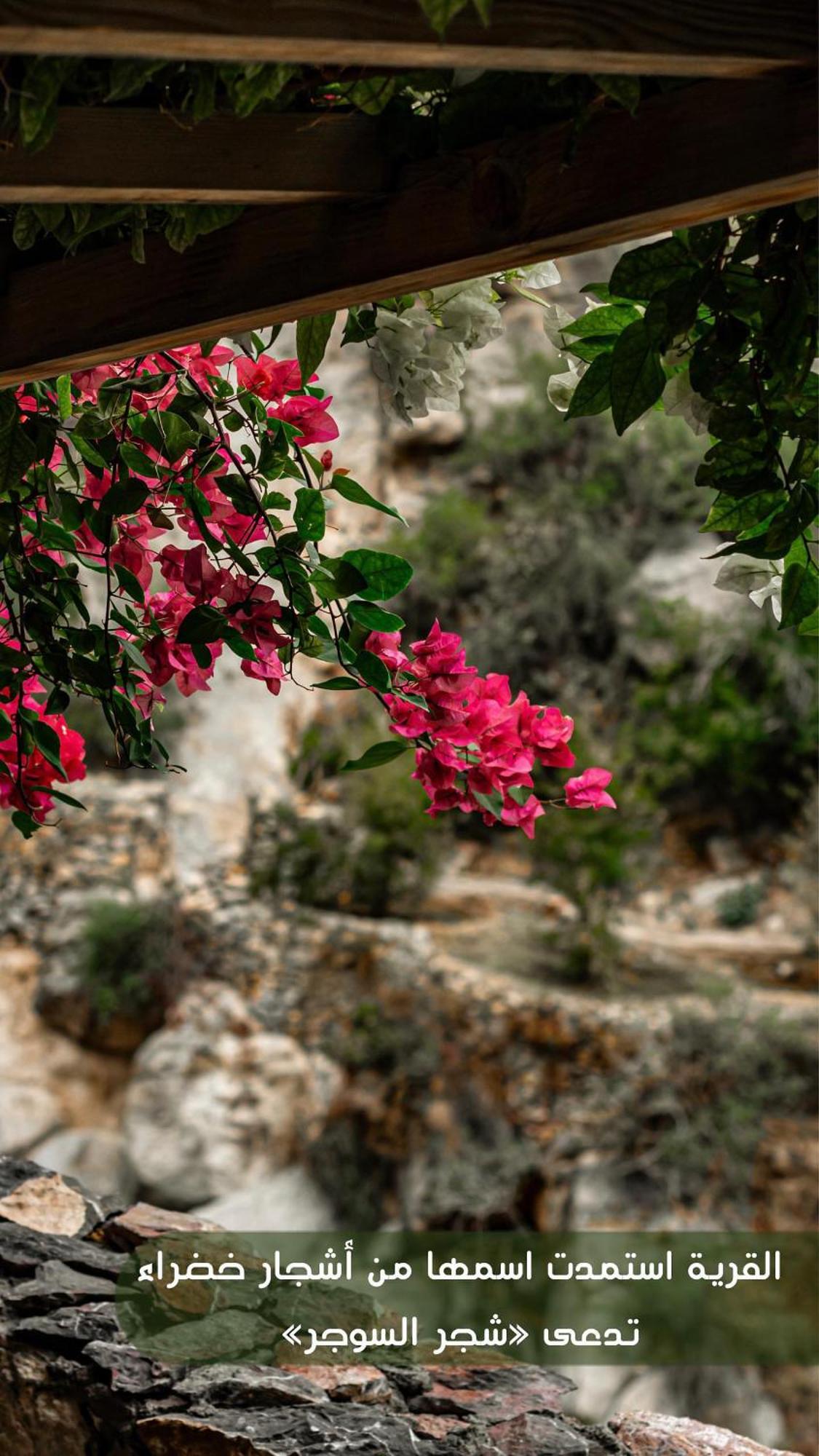 The Suwgra-Al-Jabal Al-Akdar Hotel Saqrah Exterior photo